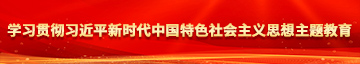 自慰爽文下面流水学习贯彻习近平新时代中国特色社会主义思想主题教育