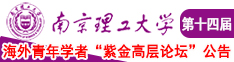 黄片操鸡巴南京理工大学第十四届海外青年学者紫金论坛诚邀海内外英才！